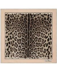 Dolce & Gabbana - Kim Dolce&Gabbana Leopard-Print Twill Scarf - Lyst