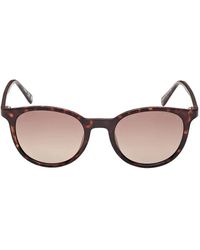 GUESS EYEWEAR - Gafas de sol con montura redonda con efecto de carey - Lyst