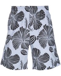 MSGM - Hibiscus-Print Bermuda Shorts - Lyst