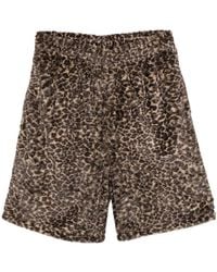 Stussy - Leopard-Print Shorts - Lyst