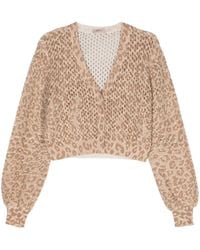 Twin Set - Leopard-print Open-knit Cardigan - Lyst