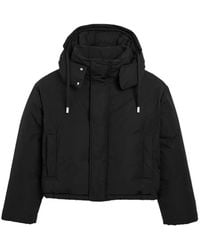 Ami Paris - Hooded Nylon And Cotton Down Jacket With Ami De Coeur - Lyst
