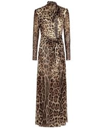 Dolce & Gabbana - Georgette Dress With Leopard Print And Tie Details - Lyst