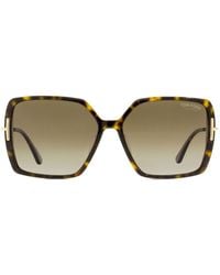 Tom Ford - Joanna Butterfly-Frame Sunglasses - Lyst