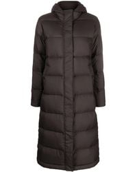 Patagonia - Gewatteerde Jas - Lyst