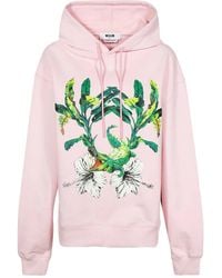 MSGM - Sudadera Con Capucha Y Logo Estampado - Lyst