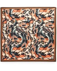 Roberto Cavalli - Butterfly-Print Square Scarf - Lyst