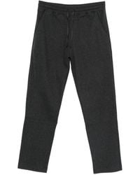 Canali - Cotton Blend Track Pants - Lyst