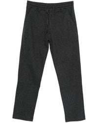 Canali - Cotton Blend Track Pants - Lyst