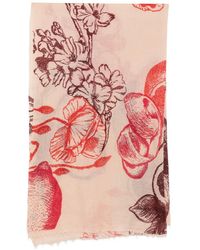 Mouleta - Floral-Print Frayed Scarf - Lyst