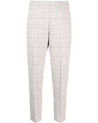 Le Tricot Perugia - Plaid Check-pattern Tapered-leg Trousers - Lyst
