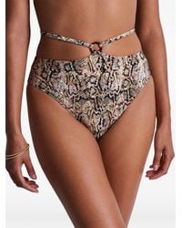 Aubade - Fierce Spirit Snake-Print Bikini Briefs - Lyst