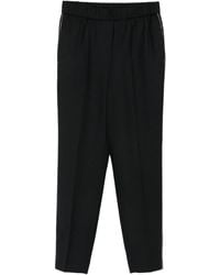 Peserico - Broek Met Zijstreep - Lyst
