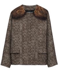 Prada - Cotton Single-Breasted Caban Jacket - Lyst