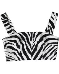 Dolce & Gabbana - Zebra-Print Crop Top - Lyst