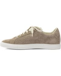 Common Projects - Achilles Sneakers Aus Wildleder - Lyst