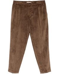 Briglia 1949 - Portobello Corduroy Trousers - Lyst
