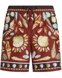 Dolce & Gabbana - シェルプリント トランクス水着 - Lyst