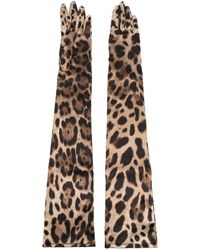Dolce & Gabbana - Guantes largos con estampado de leopardo - Lyst