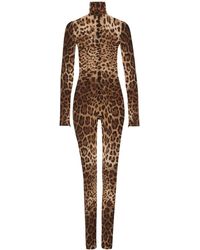 Dolce & Gabbana - Kim Dolce&gabbana Leopard-print Sheer Jumpsuit - Lyst