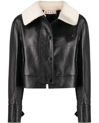Marni Chaqueta con cuello de borrego - Negro