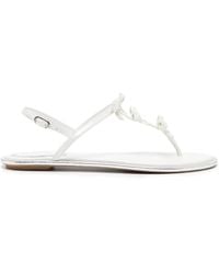 Rene Caovilla - Caterina Thong Sandals - Lyst