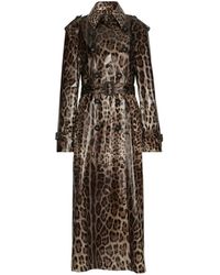 Dolce & Gabbana - レオパード トレンチコート - Lyst