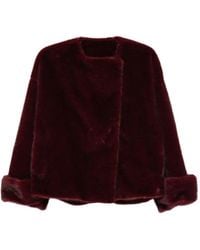Antonelli - Faux-Fur Wide-Collar Jacket - Lyst