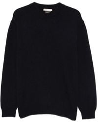 Daniele Fiesoli - Trui Met Ronde Hals - Lyst