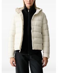 Napapijri - Aerins Hooded Puffer Jacket - Lyst