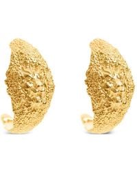 freya rose - Lion Hoops Textured Earrings - Lyst