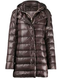 Herno Doudoune à capuche - Marron