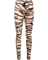 Roberto Cavalli - Tiger-print High-waisted leggings - Lyst