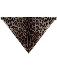 Dolce & Gabbana - Leopard-Print Coated Satin Triangle Veil - Lyst