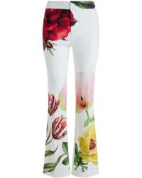 Alice + Olivia - Livi Floral-print Bootcut Trousers - Lyst