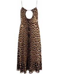 Saint Laurent - Cut-out Leopard-print Midi Dress - Lyst