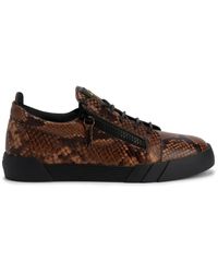 Giuseppe Zanotti - Frankie Snakeskin-Print Leather Sneakers - Lyst