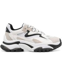 Ash - Addict Sneakers - Lyst