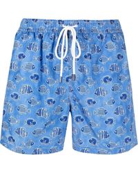 Heren Kleding voor voor Strandkleding voor Board Fedeli Synthetisch Zwembroek Met Print in het Blauw voor heren en zwemshorts 