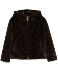 ERMANNO FIRENZE - Zip-Fastening Hooded Jacket - Lyst