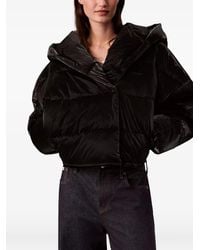 Calvin Klein - Donsjack Met Capuchon - Lyst