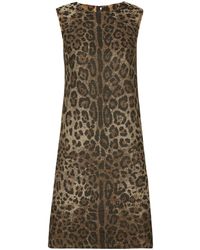 Dolce & Gabbana - Leopard Print Wool Mini Dress - Lyst