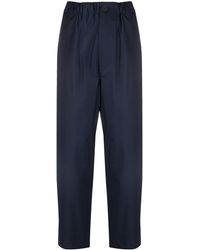 Sofie D'Hoore Broek - Blauw