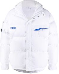 plumiferos puma hombre plumiferos puma hombre