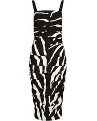 Dolce & Gabbana - Cady Zebra Print Midi Dress - Lyst