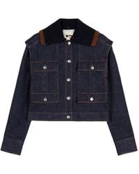 Ports 1961 - Jeansjacke mit gestricktem Kragen - Lyst
