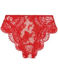 Dolce & Gabbana - High-Waisted Lace Briefs - Lyst