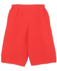 Homme Plissé Issey Miyake - Cotton Shorts - Lyst