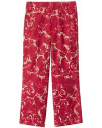 Burberry - Rose-print Cotton Trousers - Lyst