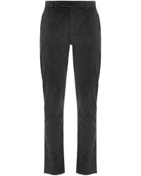 Moorer - Carlon-Ves Ribfluwelen Broek - Lyst